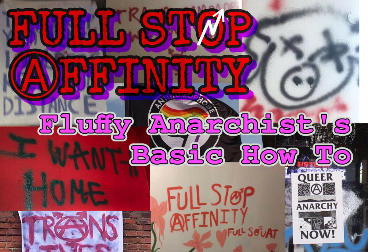 Full Stop Affinity’s How To for the Fluffy Anarchist Basics (part 1)