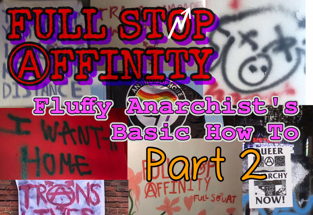 Full Stop Affinity’s How To for the Fluffy Anarchist Basics (part 2)